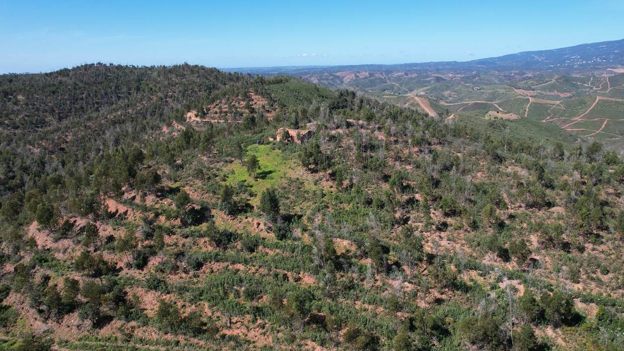  قطعة أرض في Silves, Portugal 150متر مربع رقم 132633