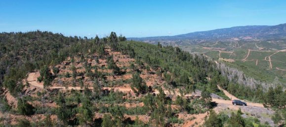  قطعة أرض في Silves, Portugal 150متر مربع رقم 132633 8