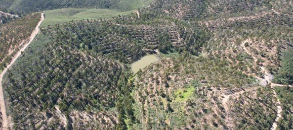  قطعة أرض في Silves, Portugal 150متر مربع رقم 132633 13