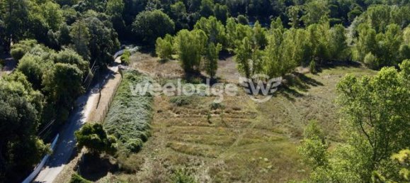 Grundstück in Montauroux, France 3593m², Nr. 313062 3