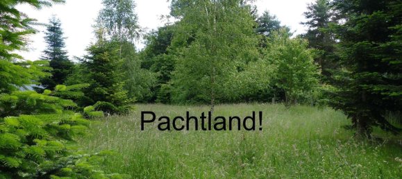 Café/restaurante de 5 habitaciónes en Greiz, Germany No. 144598 6