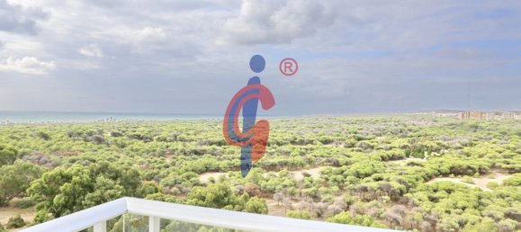 Квартира с 2 спальнями в Гуардамар-дель-Сегура, Испания № 175679 3