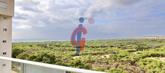 Квартира с 2 спальнями в Гуардамар-дель-Сегура, Испания № 175679 11