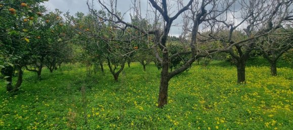 1160m² Land in Pace del Mela, Italy No. 134561 7