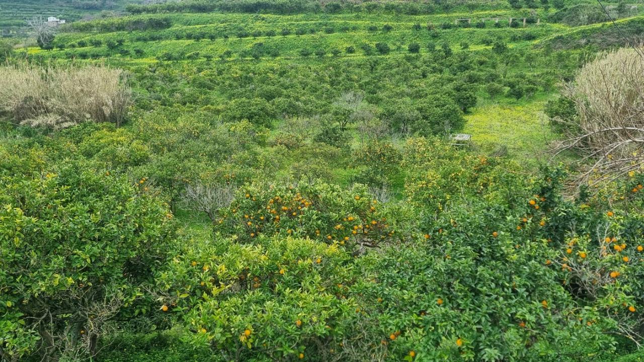 1160m² Land in Pace del Mela, Italy No. 134561