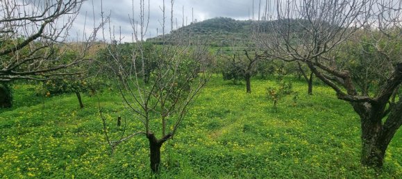 1160m² Land in Pace del Mela, Italy No. 134561 5