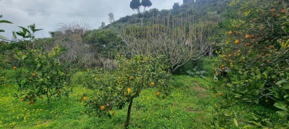 1160m² Land in Pace del Mela, Italy No. 134561 6