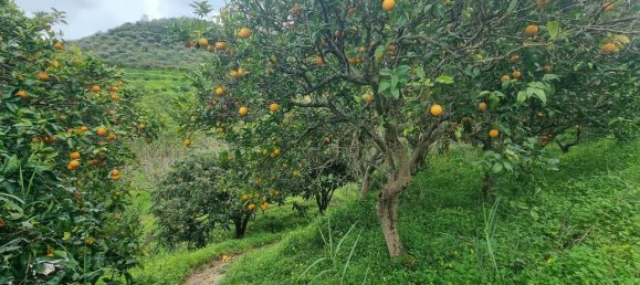 1160m² Land in Pace del Mela, Italy No. 134561 4