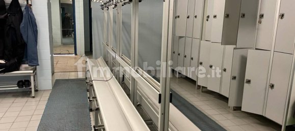 5غرفة عقار تجاري في Formello, Italy رقم 120059 37