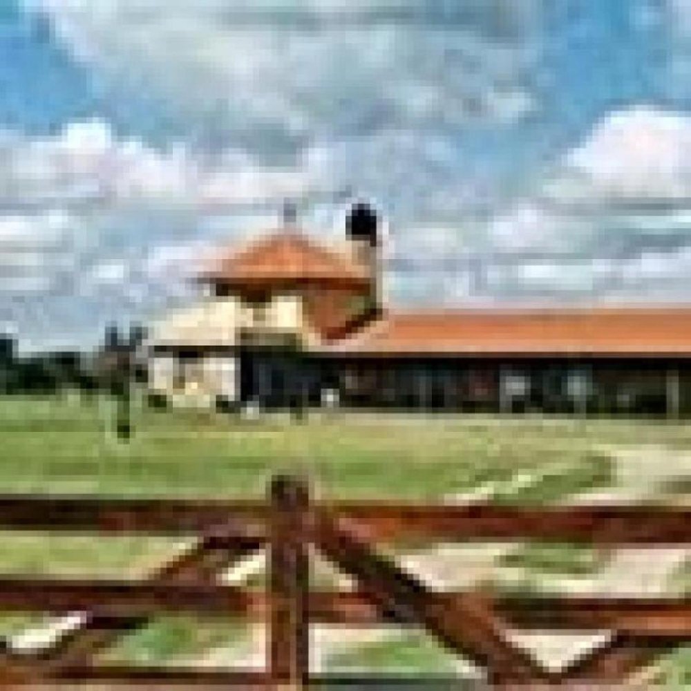 7 chambres Propriété commerciale à San Luis, Argentina No. 23930