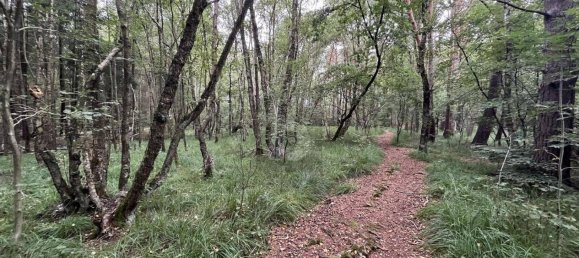 Terreno em Pinneberg, Germany N.º 49284 4