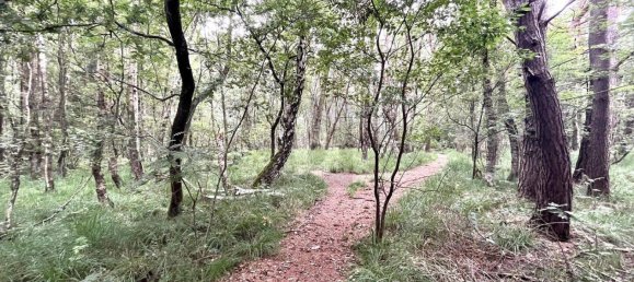 Terreno em Pinneberg, Germany N.º 49284 3