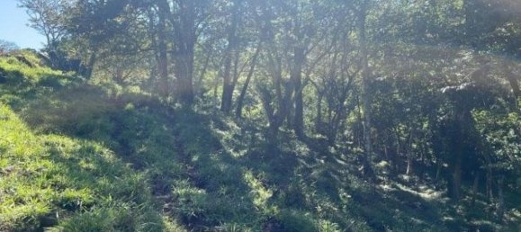 Terrain à Liberia, Costa Rica No. 1855 6