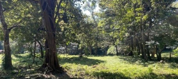 Terrain à Liberia, Costa Rica No. 1855 2