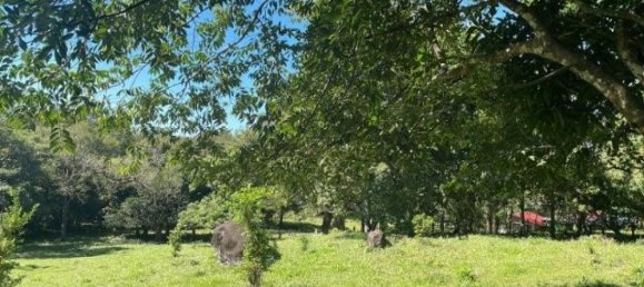 Terrain à Liberia, Costa Rica No. 1855 4