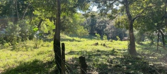 Terrain à Liberia, Costa Rica No. 1855 3