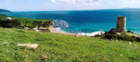 117543m² Land in Cadiz, Spain No. 169468 15