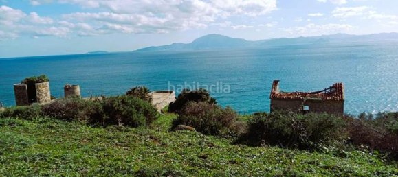 117543m² Land in Cadiz, Spain No. 169468 8