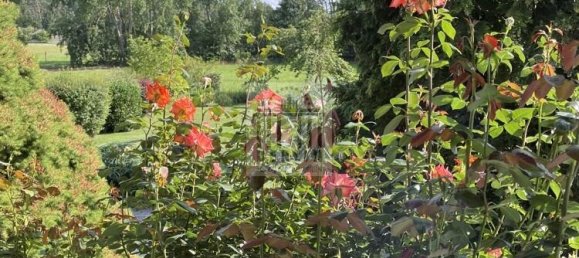 6-Zimmer Stadthaus in Oberspreewald-Lausitz, Germany, Nr. 286644 20