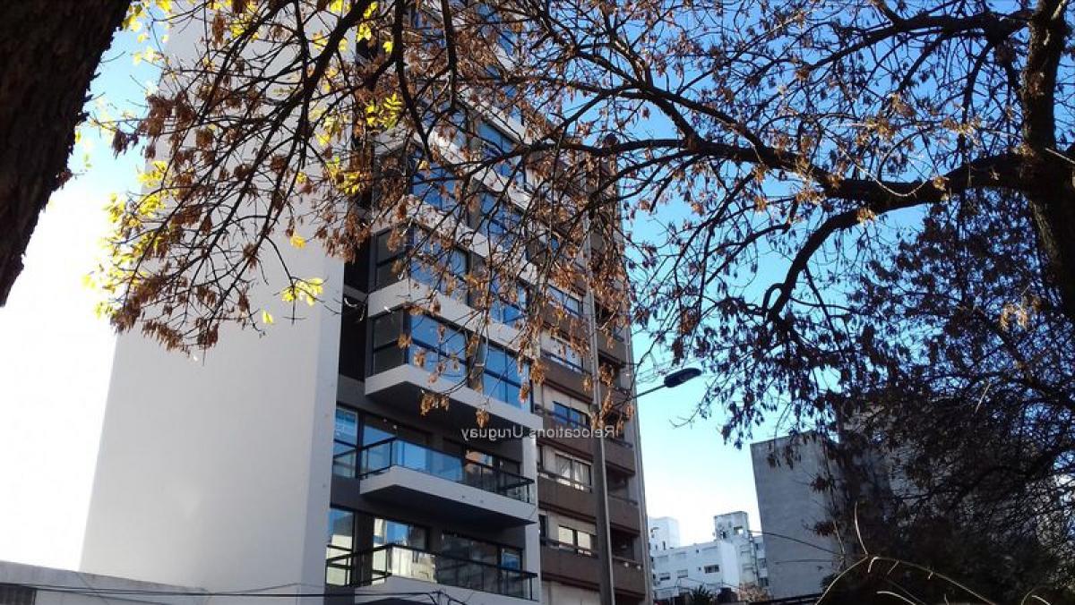 Studio in Montevideo, Uruguay No. 5060