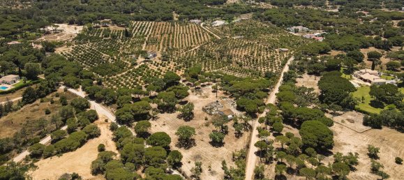 Земельный участок 1921м² в Алмансил, Португалия № 145345 9