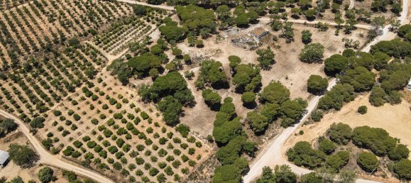 Земельный участок 1921м² в Алмансил, Португалия № 145345 12