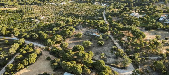 Земельный участок 1921м² в Алмансил, Португалия № 145345 13