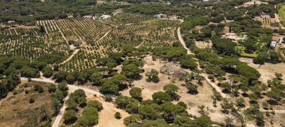 Земельный участок 1921м² в Алмансил, Португалия № 145345 8