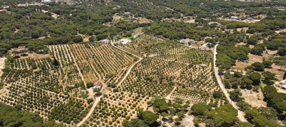 Земельный участок 1921м² в Алмансил, Португалия № 145345 10