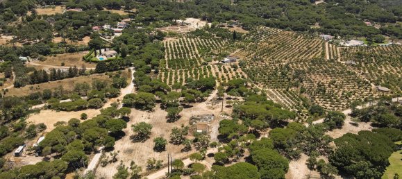 Земельный участок 1921м² в Алмансил, Португалия № 145345 11