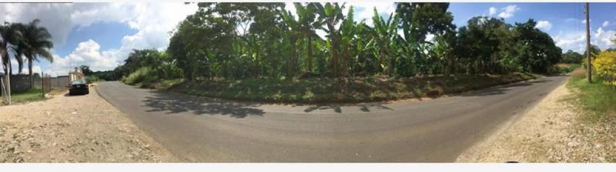 Terrain à Veracruz, Mexico No. 203736