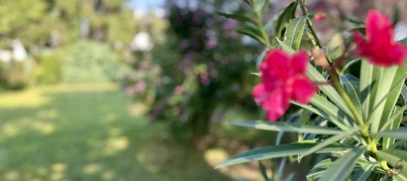 4غرفة شقة في St. Andra-Wordern, Austria رقم 236666 26