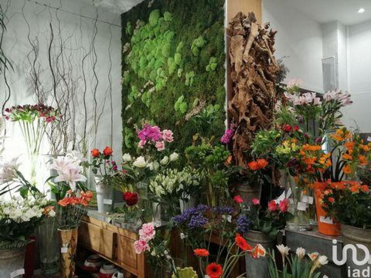 50m² Office in Grenoble, France No. 19137