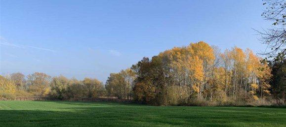 10-Zimmer Gebäude in Rostock, Germany, Nr. 174057 28