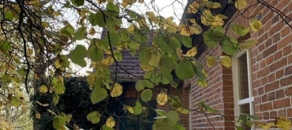 10-Zimmer Gebäude in Rostock, Germany, Nr. 174057 23