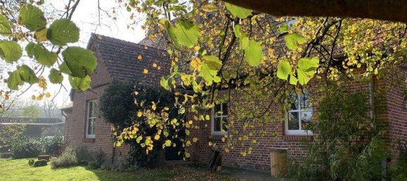 10-Zimmer Gebäude in Rostock, Germany, Nr. 174057 25