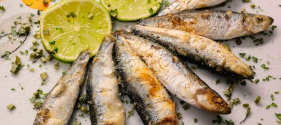 Casa de 3 dormitorios en Porto, Portugal No. 14757 10