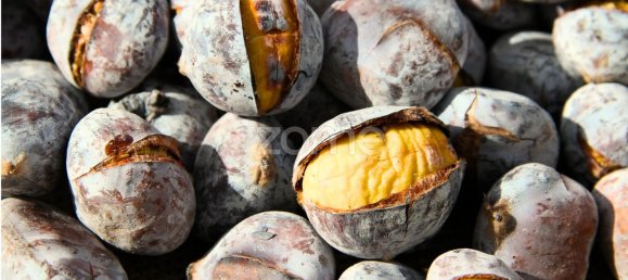 Casa de 3 dormitorios en Porto, Portugal No. 14757 11