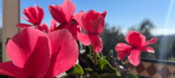 5 bedrooms Villa in Isola del Liri, Italy No. 57805 22