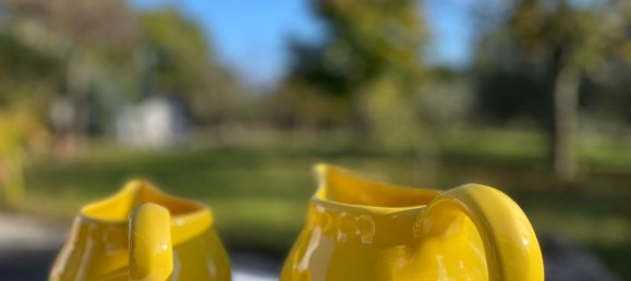 5 bedrooms Villa in Isola del Liri, Italy No. 57805 45