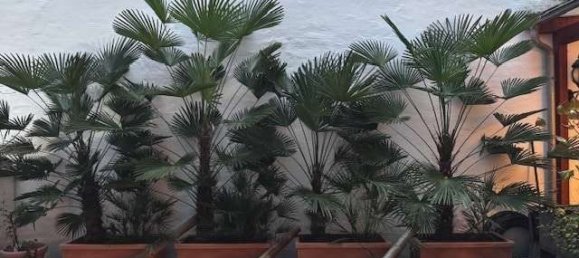 Edificio de 19 habitaciónes en Mannheim, Germany No. 61711 4