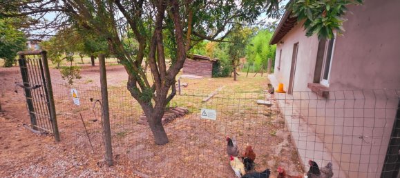 7غرفة منزل في Mortara, Italy رقم 284941 46