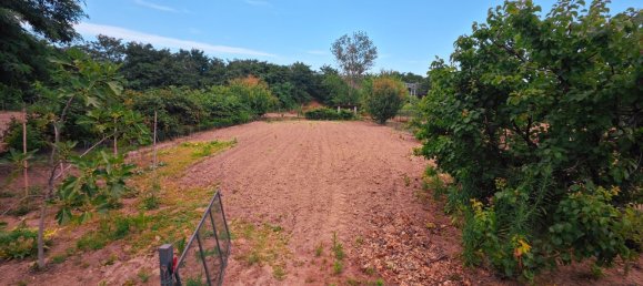 7غرفة منزل في Mortara, Italy رقم 284941 50