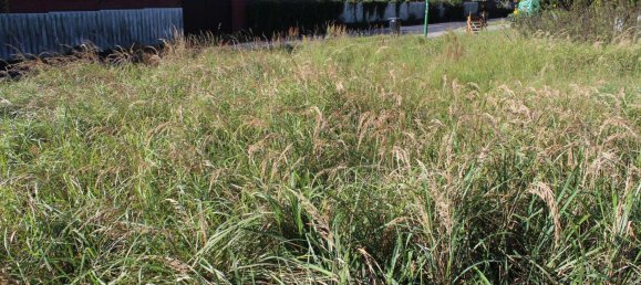 Terreno en Oberhavel, Germany No. 369797 3