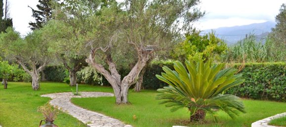 3 bedrooms Commercial property in Achaea, Greece No. 6957 3