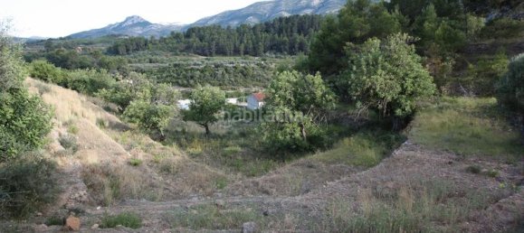 328m² Land in Murla, Spain No. 79741 15