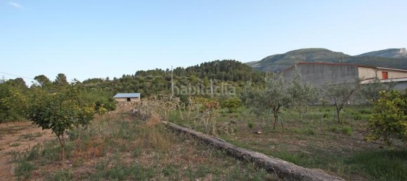 328m² Land in Murla, Spain No. 79741 7