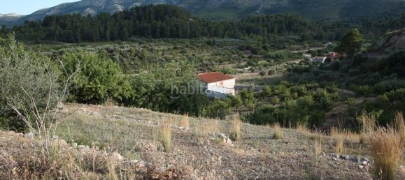 328m² Land in Murla, Spain No. 79741 5