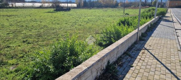 3680m² Land in Bonea, Italy No. 31950 6