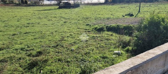 3680m² Land in Bonea, Italy No. 31950 7